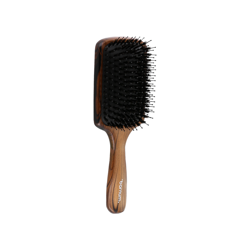 Barnum Brosse plate Ysocel grande